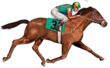 Celebrate horse racing at it's finest with our classic race themed decoratins!